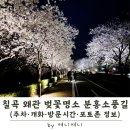 봉계1길 | 칠곡 왜관 벚꽃 명소 분홍소풍길 | 현지인만 아는 야경 데이트 코스