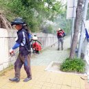 삼정자초등학교 이미지