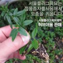 여울 - 영등포구 영등포로47길 11-1 | 여울