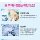 거제동물병원 이미지