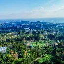 제주카사블랑카 이미지