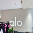 알로하이 | 알로 잠실 롯데백화점 매장에서 운동복 직접 사봄 | alo 바지 탱크탑 내돈내산 후기