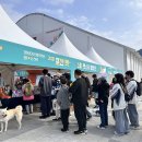 펫가든동물병원 | 포천 한탄강 반려동물축제 펫스타 가든페스타 반려동물동반