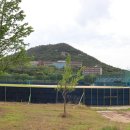 세한대학교 골프연습장 티스토리