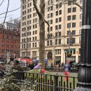 동산세탁소 | 뉴욕 여행(4) 킨스스테이크하우스부터 모마, 자연사박물관,카네기홀, 센트럴파크까지!!! 260313 260314