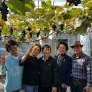 언덕농장2 이미지