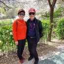 수만리염소탕 이미지