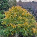 광산구-052 이미지