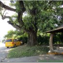 신동1통 마을회관 이미지