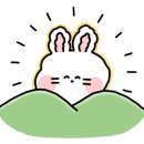 비로소 가을 이미지