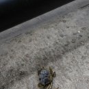 한성논문의집 이미지