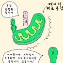 B4 이미지
