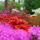 자연하모니 이미지