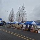 진도읍조금시장 이미지