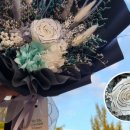 녹색플라워 이미지