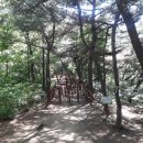 죽전동작은도서관 티스토리