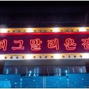 피그말리온짐 프리미엄 이미지