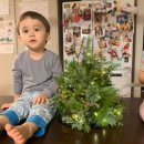 (12/13)크리스마스 미니트리 이미지