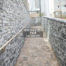 샌드페이버