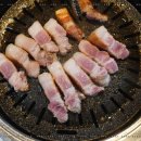 디장인 이미지