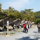 노을숲캠핑장 이미지