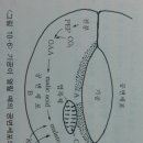 토양수 이미지