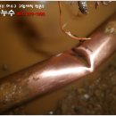 상동초등학교2 이미지