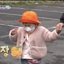 경환농장이 이미지