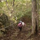 오목골 목장 이미지