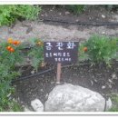 배내허브랜드 이미지