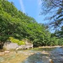 여주-1108 이미지