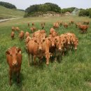 강원특별자치도축산기술연구소 이미지