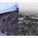 당리푸른 이미지