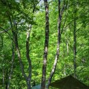 대승목장 이미지