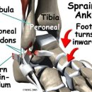 사과나무한의원 이미지