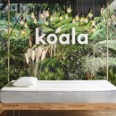 코알라홈 이미지