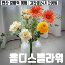 중앙플라워(생화) | 안산 중앙역 꽃집 24시간 꽃다발 구매 가능 꽃선물 후기 올디스플라워