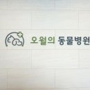 오월의 동물병원 이미지