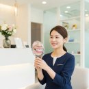 그레이동물병원 강남점 | 제로네이트 후기와 가격 정리, 무삭제 라미네이트 체험기