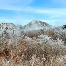 점필재로 이미지