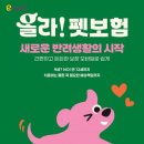 펫인