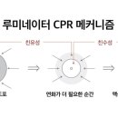 우리동네미장원 이미지