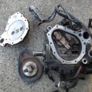 엘피지카 이미지