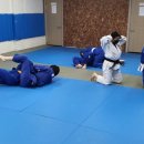 용인대 중앙 체육관 이미지