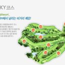 자연오투