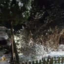 위례마음약국 이미지