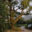 동아제약(물류센터) 이미지