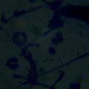 훈동물병원 이미지