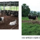 한솔목장 이미지