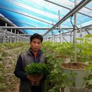 산골짜기 이미지